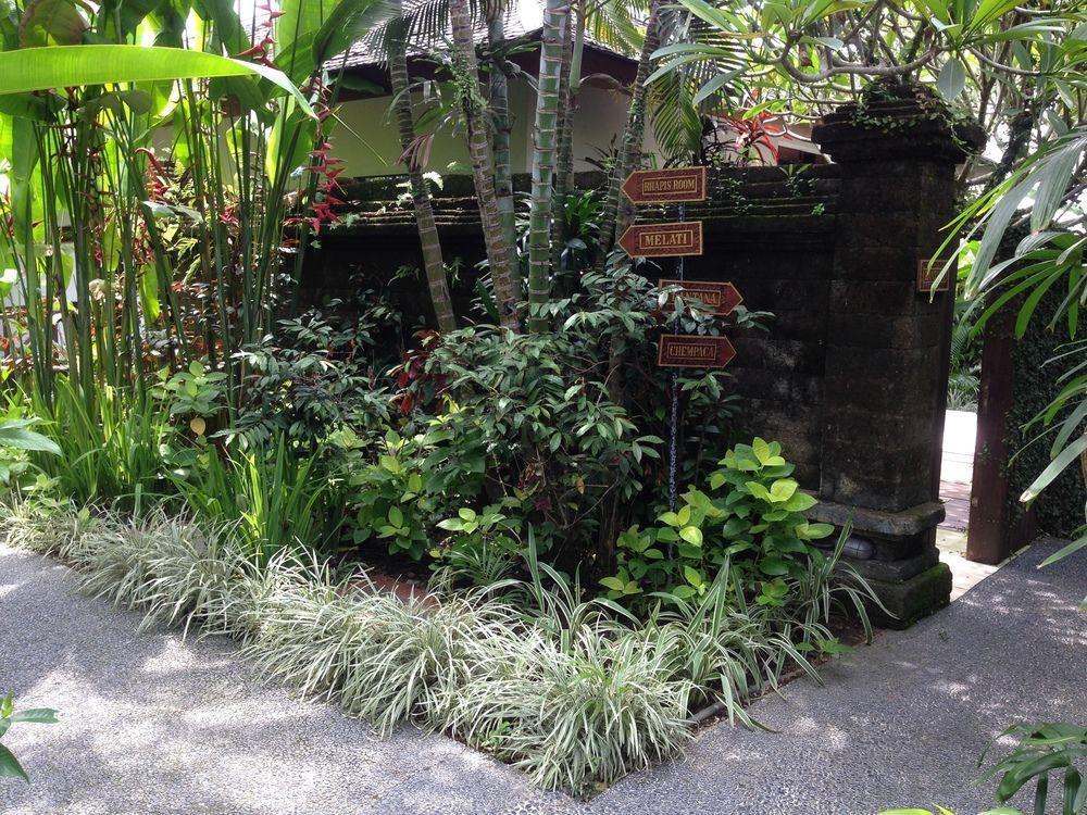 Hotel Anginsepoi Canggu Zewnętrze zdjęcie